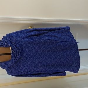 Hooded/cowl neck top NWOT